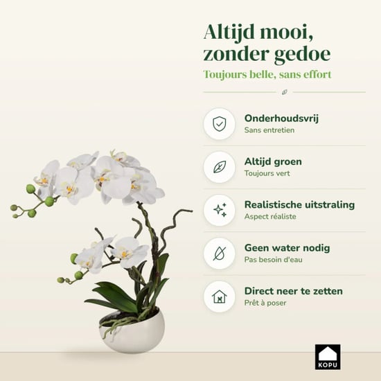 Kopu ® kunstorchidee 42 cm - te schaal phalaenopsis - Image 4