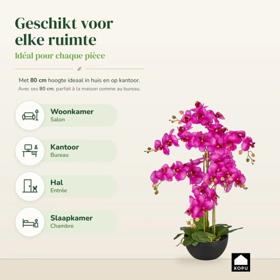 Kopu ® kunstorchidee 80 cm - zwarte schaal phalaenopsis - Image 2