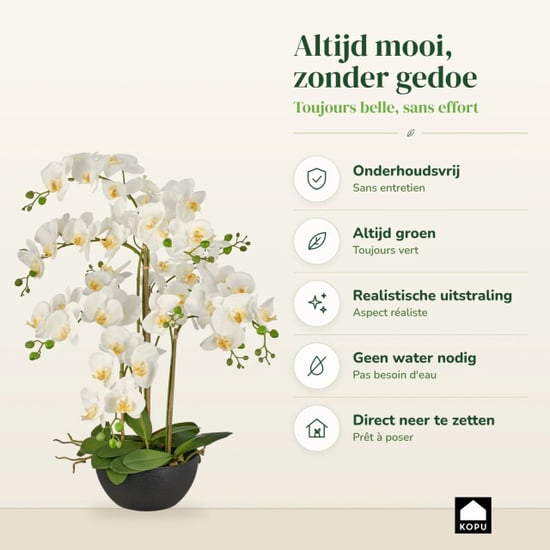 Kopu ® kunstorchidee 80 cm - zwarte schaal phalaenopsis - Image 3