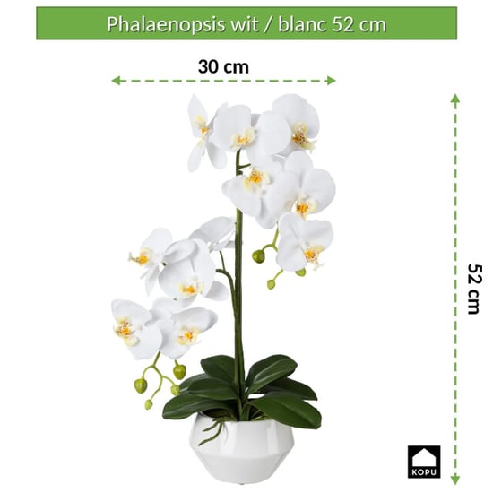 Kopu ® kunstorchidee 52 cm - te keramische pot phalaenopsis - Image 5