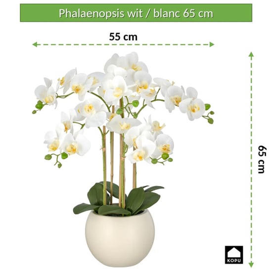 Kopu ® kunstorchidee 65 cm - crèmekleurige pot phalaenopsis - Image 4