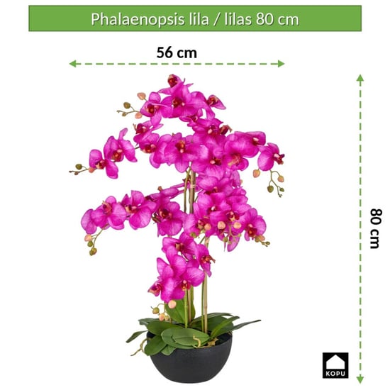 Kopu ® kunstorchidee 80 cm - zwarte schaal phalaenopsis - Image 3