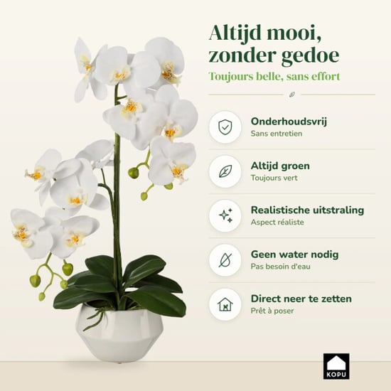 Kopu ® kunstorchidee 52 cm - te keramische pot phalaenopsis - Image 6