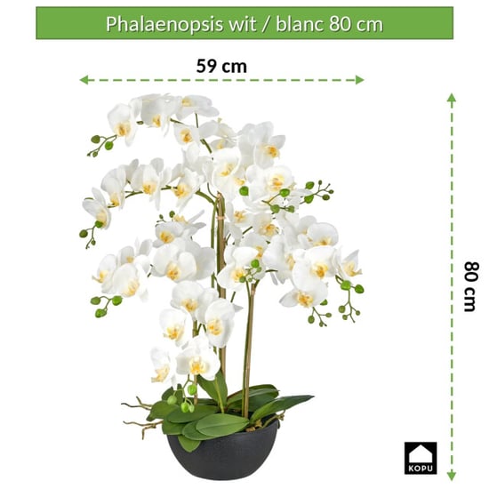 Kopu ® kunstorchidee 80 cm - zwarte schaal phalaenopsis - Image 4