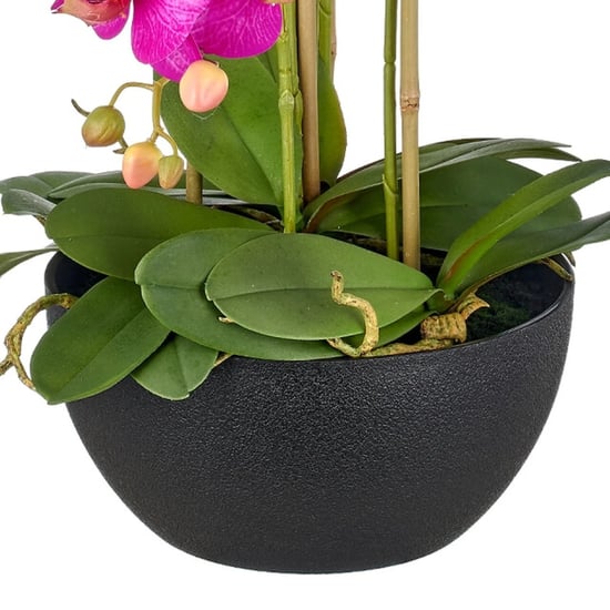 Kopu ® kunstorchidee 80 cm - zwarte schaal phalaenopsis - Image 4