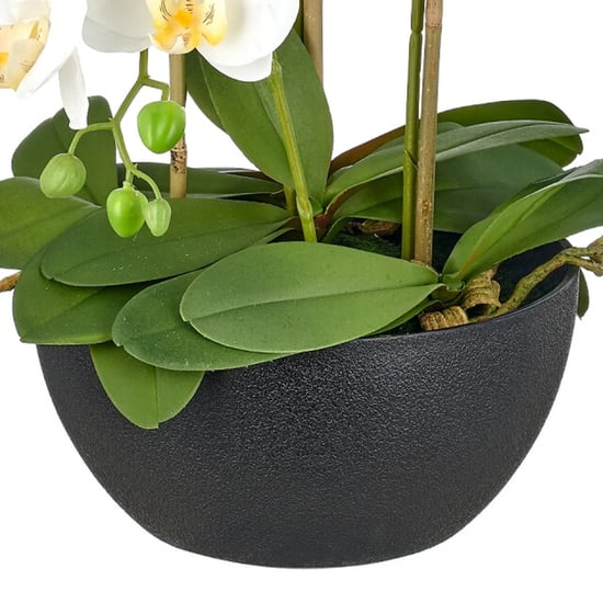 Kopu ® kunstorchidee 80 cm - zwarte schaal phalaenopsis - Image 5