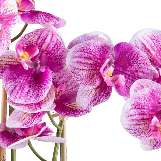 Kopu ® kunstorchidee 58 cm - 3 takken witte bak phalaenopsis - Image 6