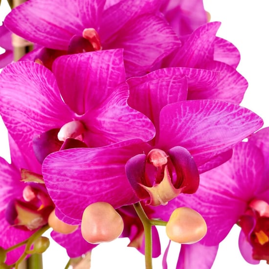 Kopu ® kunstorchidee 80 cm - zwarte schaal phalaenopsis - Image 5