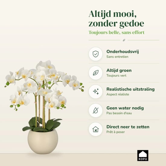 Kopu ® kunstorchidee 65 cm - crèmekleurige pot phalaenopsis - Image 6