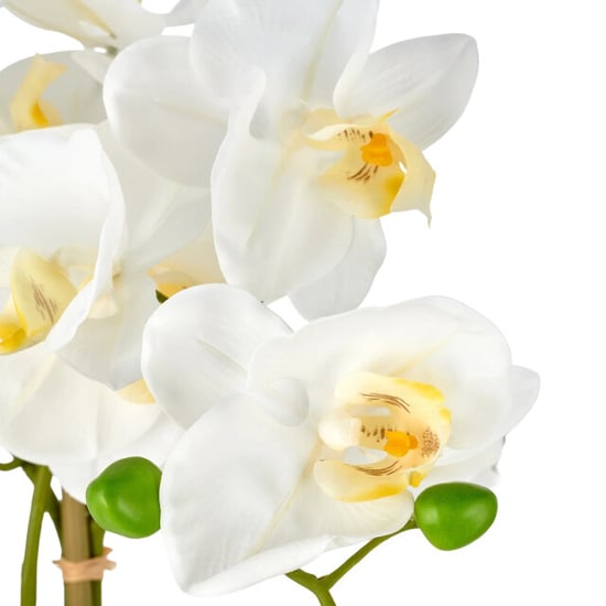 Kopu ® kunstorchidee 80 cm - zwarte schaal phalaenopsis - Image 6