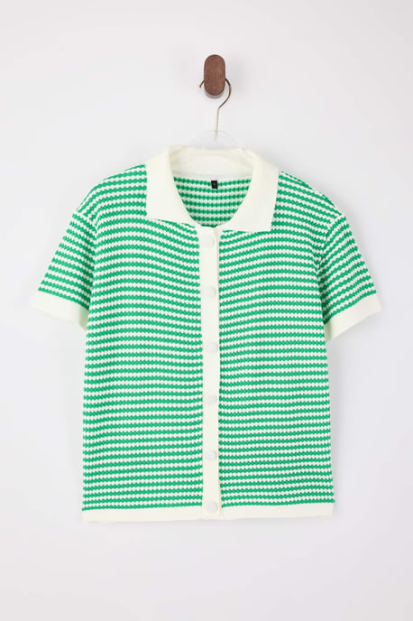 TRENDYOLMİLLA Dames Groen Gestreept Kort Regular fit Blouses - Image 4