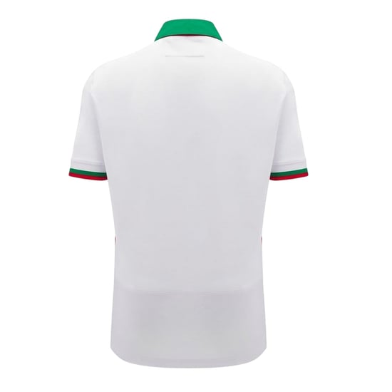 Macron Welsh Rugby Union-uittenue voor kinderen 2024 (Wit/Groen) - Image 2
