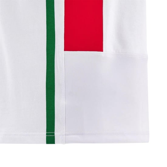 Macron Welsh Rugby Union-uittenue voor kinderen 2024 (Wit/Groen) - Image 4
