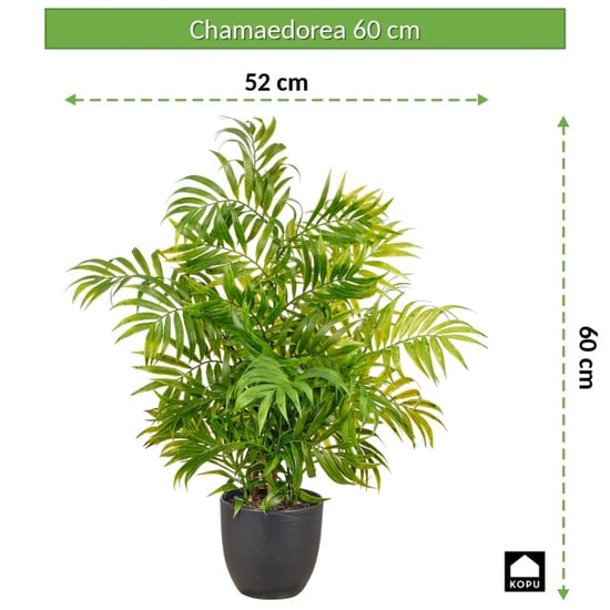 Kopu ® kunstplant bergpalm 60 cm zwarte pot chamaedorea - Image 2