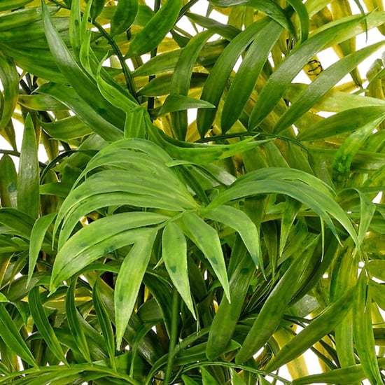 Kopu ® kunstplant bergpalm 60 cm zwarte pot chamaedorea - Image 3