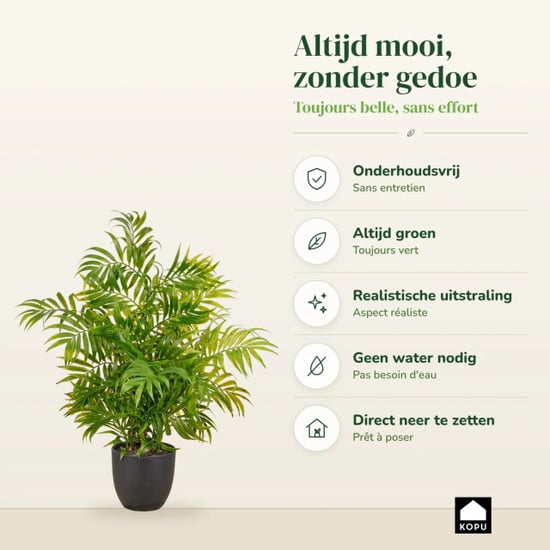 Kopu ® kunstplant bergpalm 60 cm zwarte pot chamaedorea - Image 4