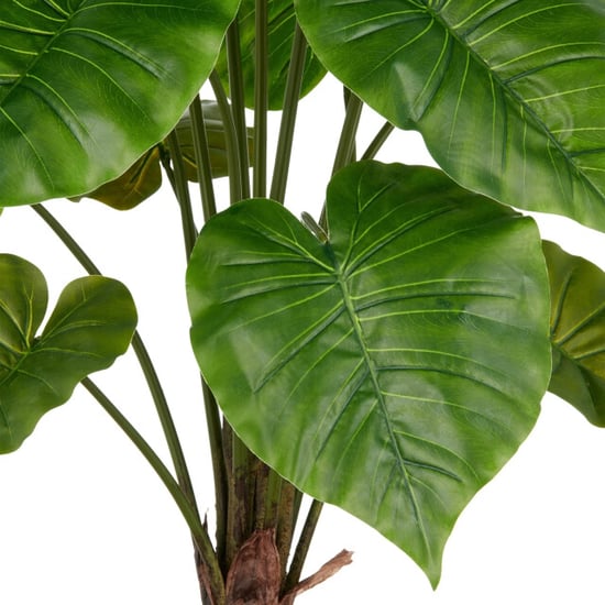 Kopu ® kunstplant alocasia 100 cm grijze pot olifantsoor - Image 2