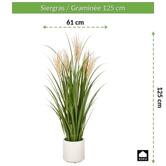 Kopu ® kunstplant siergras 125 cm met pluimen crème pot - Image 5