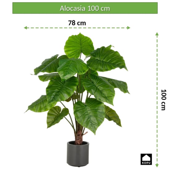 Kopu ® kunstplant alocasia 100 cm grijze pot olifantsoor - Image 3
