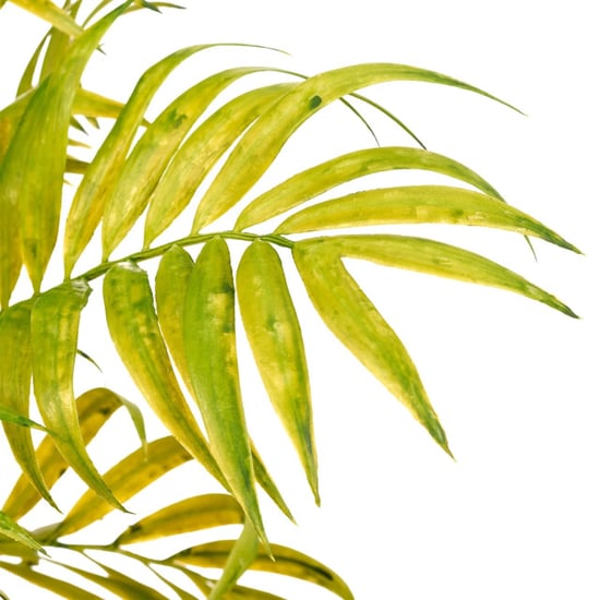 Kopu ® kunstplant bergpalm 60 cm zwarte pot chamaedorea - Image 6