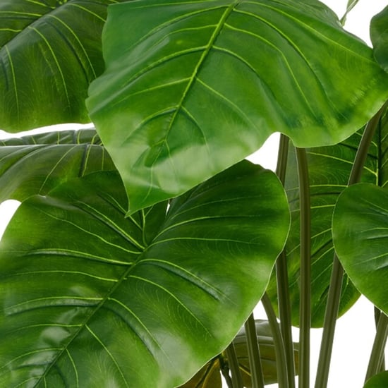Kopu ® kunstplant alocasia 100 cm grijze pot olifantsoor - Image 4