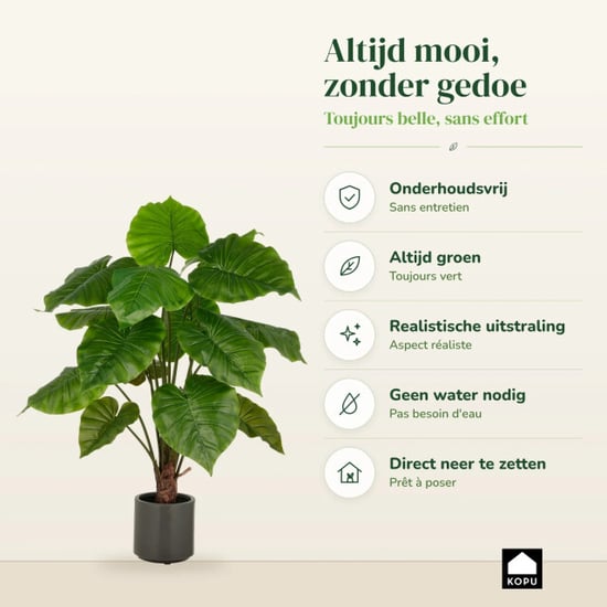 Kopu ® kunstplant alocasia 100 cm grijze pot olifantsoor - Image 6