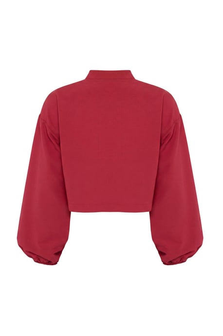 TRENDYOLMİLLA Dames Rood Gestreept Lang Regular fit Overhemden - Image 5