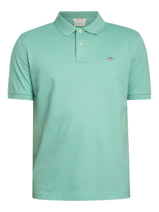 Short Sleeve Regular Fit Polo in Sage Green - Image 5