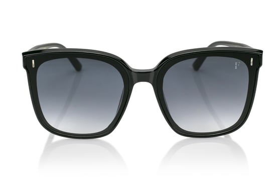 Isabella Ford BLACK Sunglasses - Image 1