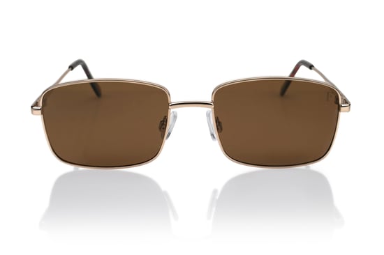 Isabella Ford GOLD Sunglasses - Image 1