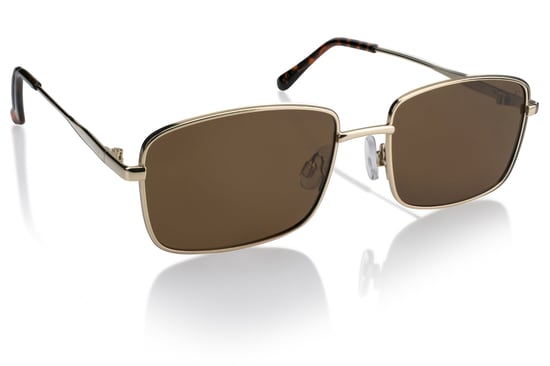 Isabella Ford GOLD Sunglasses - Image 2