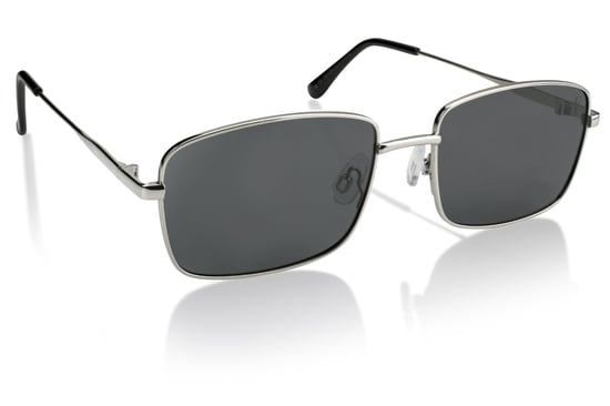 Isabella Ford SILVER Sunglasses - Image 2
