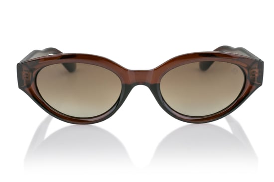 Philipp Blanc BROWN Sunglasses - Image 1