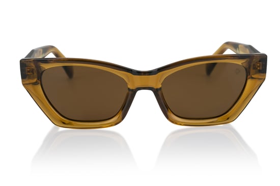 Philipp Blanc BROWN Sunglasses - Image 1