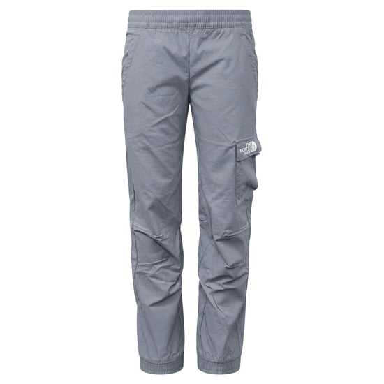 The North Face Expo Cargo Kids Grey Track Pants - Image 1