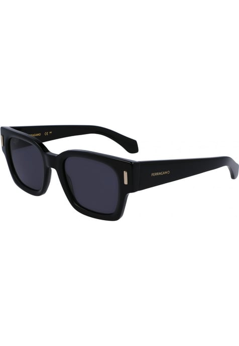 Salvatore Ferragamo SF2010S 52 1 Sunglasses - Image 1