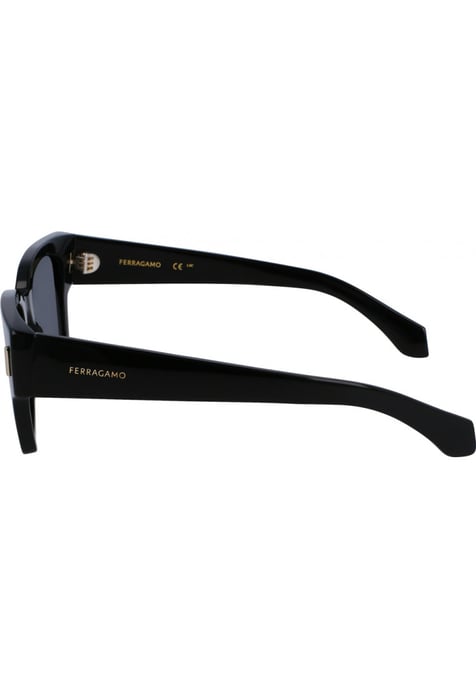 Salvatore Ferragamo SF2010S 52 1 Sunglasses - Image 3