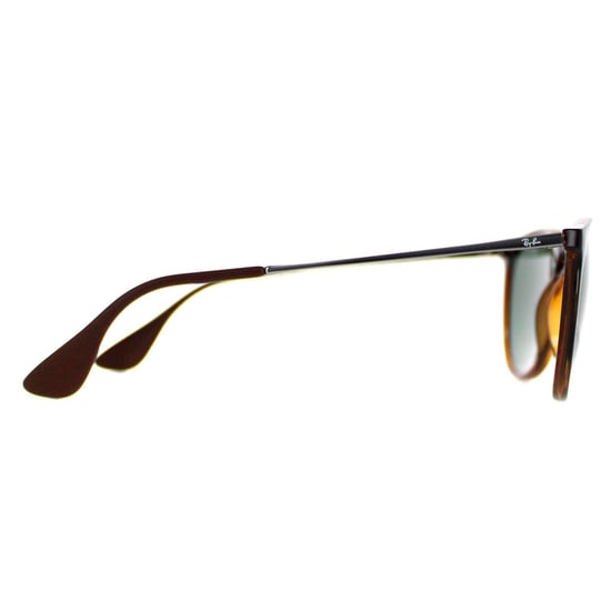 Ray-Ban Sunglasses Erika 4171 710/71 Tortoise & Gunmetal Green - Image 4