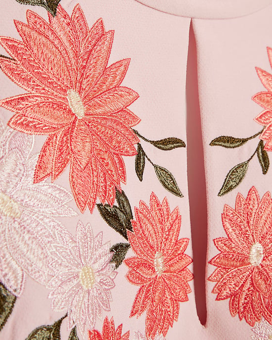 River Island Womens Mini Dress Pink Premium Floral Embroidered Zip - Image 5