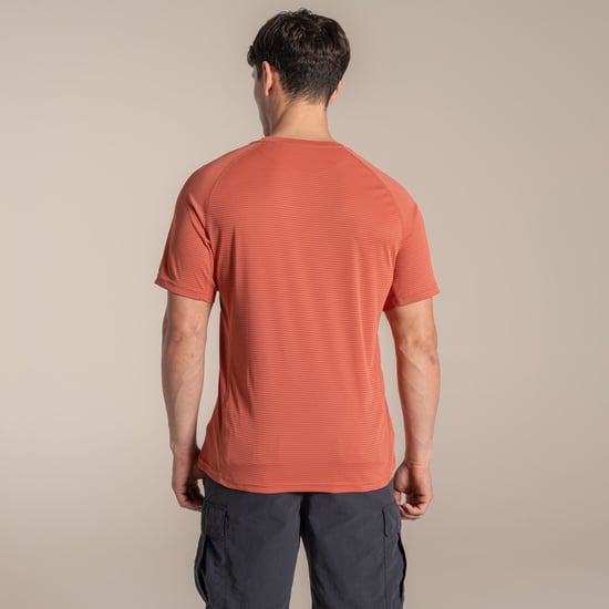 Craghoppers Mens Nosilife T-Shirt (Dark Sahara) - Image 3