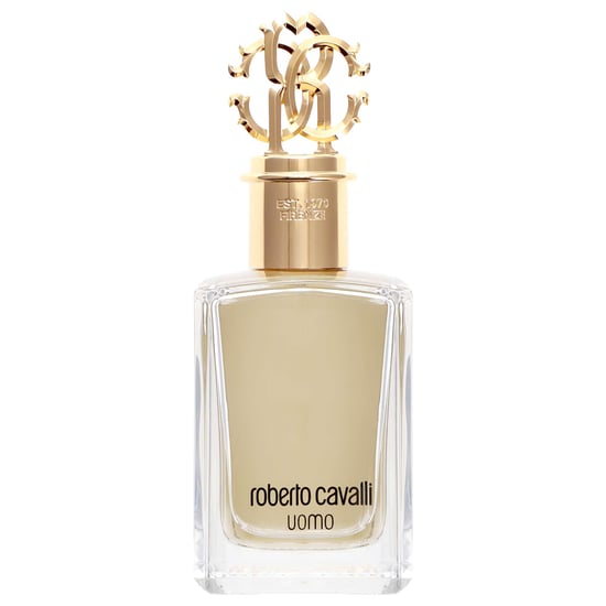 Roberto Cavalli Uomo Edt Spray 100ml - Image 1