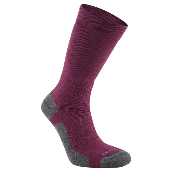 Craghoppers Trek Merino Wollen Sokken voor volwassenen (Wilde bosbes paars) - Image 1