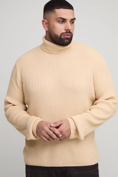 Plus Basic Regular Fit Ribbed Roll Neck Jumper - Image 1