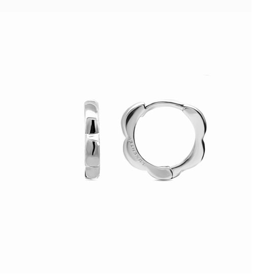 Luxenter Diwon earrings,rhodium plated,with rhodium plated finish - Image 1