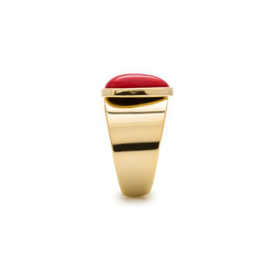 Luxenter sheak ring in metal alloy and coral 18K gold plated finish - Image 3