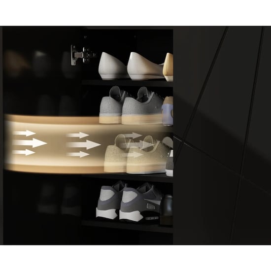 4goodz Schoenenkast met 2 deuren 3 verstelbare planken hoogglans - Image 5