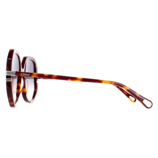 Chloe zonnebril CH0105S 004 Tortoise grijze gradiënt - Image 3