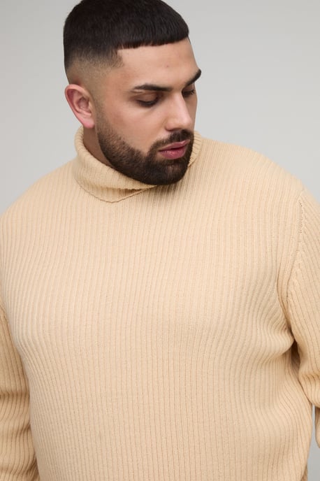 Plus Basic Regular Fit Ribbed Roll Neck Jumper - Image 3