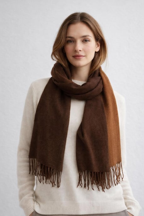 Reversible Two-Tone Cashmere Blend Scarf With Tassels in Brown - Image 1