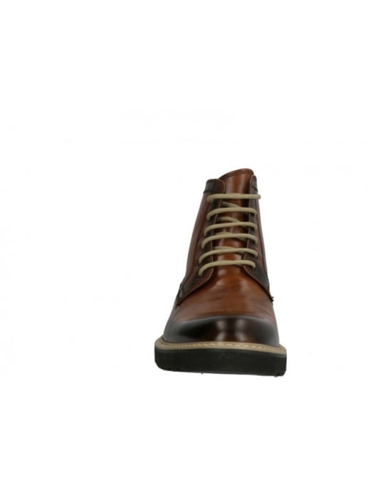 Lorenzi 2838 - Image 3